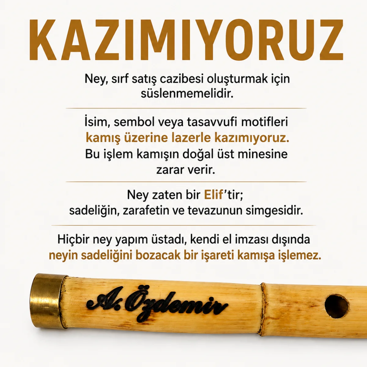 Yıldız Ney - Adana Ceyhan - Görsel 9