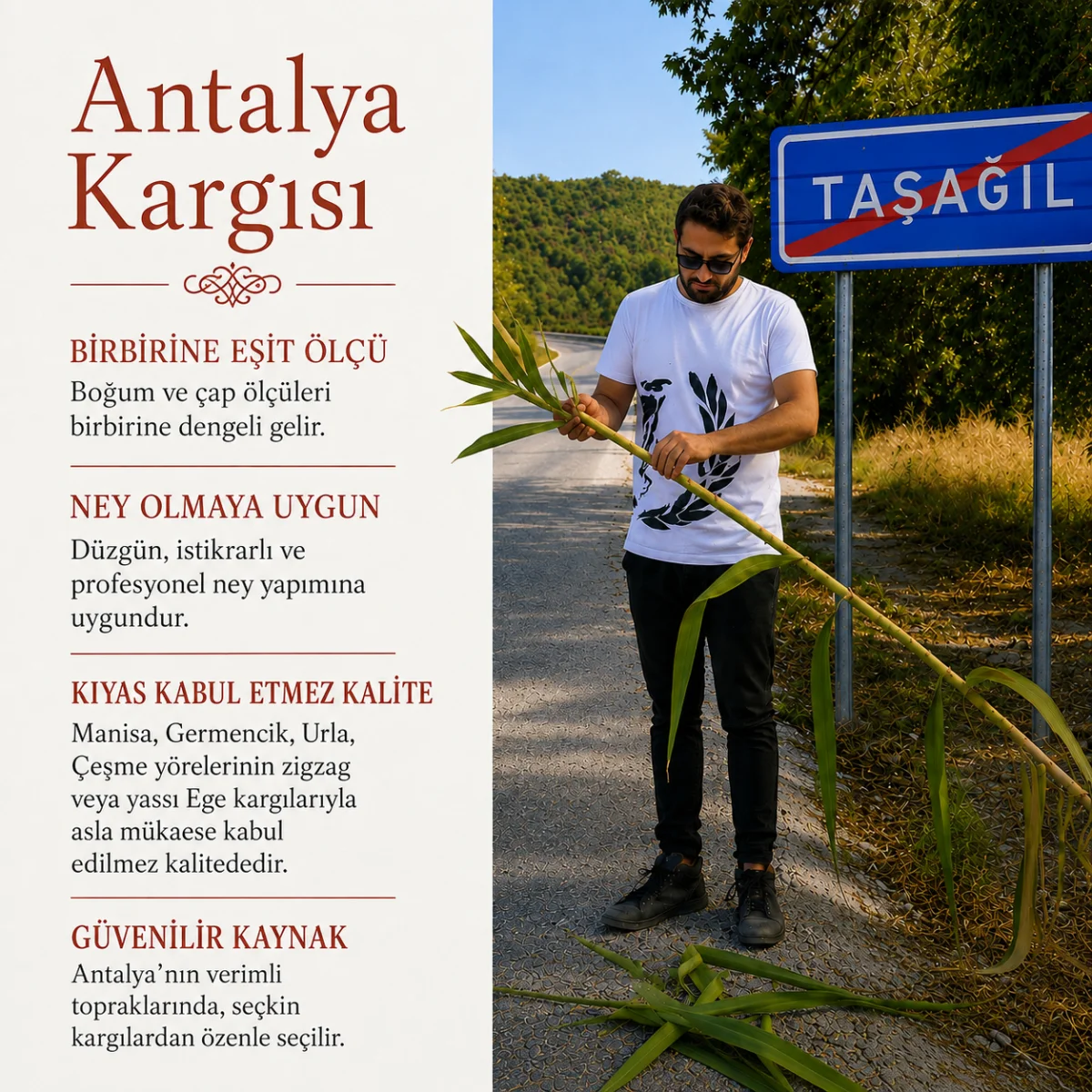 Yıldız Ney - Antalya - Görsel 13